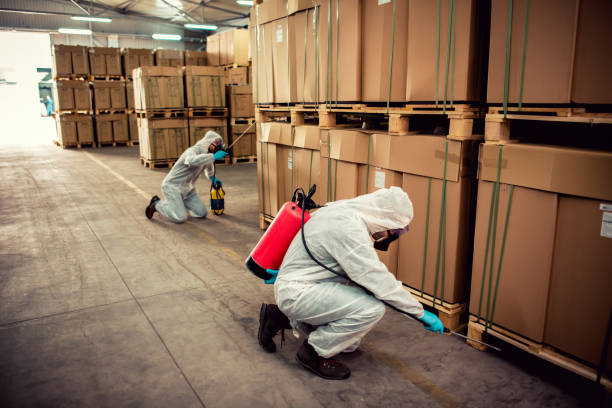 Best Best Pest Control Companies  in Hackberry, TX