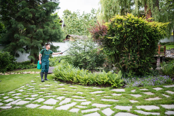 Best Wildlife Control Services  in Hackberry, TX