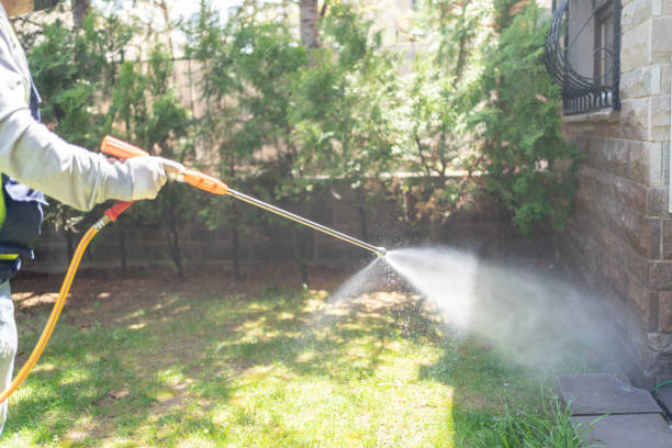 Best Best Pest Control Companies  in Hackberry, TX