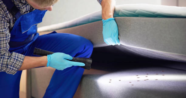 Best Pest Control Cost  in Hackberry, TX